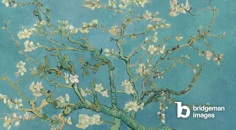 Almond Blossom, (1890), Gogh, Vincent van inspired by example of art Ukiyo-e 